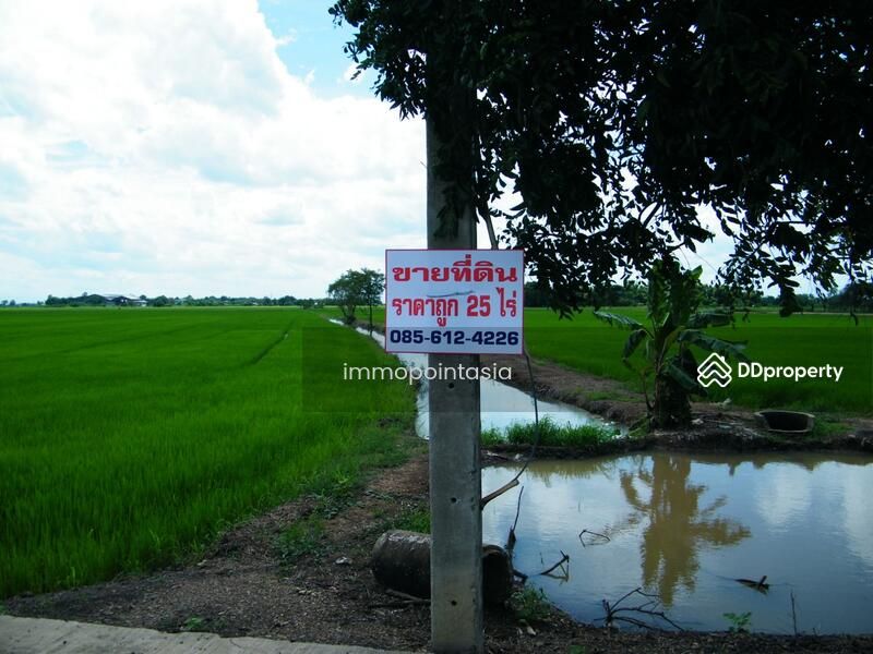 ขายบ้าน , ขายบ้าน โคราช , เช่าบ้าน , เช่าบ้าน โคราช , แบบบ้าน , รูปบ้าน , บ้านสวยๆ , บ้านเช่าราคาถูก , บ้านขายราคาถูก , บ้านให้เช่า ,ขายคอนโด , ขายคอนโด โคราช , เช่าคอนโด , เช่าคอนโด โคราช , แบบคอนโด , รูปคอนโด , คอนโดสวยๆ , คอนโดเช่าราคาถูก , คอนโดขายราคาถูก , คอนโดให้เช่า ,ขายวิลล่า , ขายวิลล่า โคราช , เช่าวิลล่า , เช่าวิลล่า โคราช , แบบวิลล่า , รูปวิลล่า , วิลล่าสวยๆ , วิลล่าเช่าราคาถูก , วิลล่าขายราคาถูก , วิลล่าให้เช่า ,ขายทาวน์เฮ้าส์ , ขายทาวน์เฮ้าส์ โคราช , เช่าทาวน์เฮ้าส์ , เช่าทาวน์เฮ้าส์ โคราช , แบบทาวน์เฮ้าส์ , รูปทาวน์เฮ้าส์ , ทาวน์เฮ้าส์สวยๆ , ทาวน์เฮ้าส์เช่าราคาถูก , ทาวน์เฮ้าส์ขายราคาถูก , ทาวน์เฮ้าส์ให้เช่า ,ขายทาวน์เฮ้าส์ , ขายทาวน์เฮ้าส์ โคราช , เช่าทาวน์เฮ้าส์ , เช่าทาวน์เฮ้าส์ โคราช , แบบทาวน์เฮ้าส์ , รูปทาวน์เฮ้าส์ , ทาวน์เฮ้าส์สวยๆ , ทาวน์เฮ้าส์เช่าราคาถูก , ทาวน์เฮ้าส์ขายราคาถูก , ทาวน์เฮ้าส์ให้เช่า ,ขายสำนักงาน , ขายสำนักงาน โคราช , เช่าสำนักงาน , เช่าสำนักงาน โคราช , แบบสำนักงาน , รูปสำนักงาน , สำนักงานสวยๆ , สำนักงานเช่าราคาถูก , สำนักงานขายราคาถูก , สำนักงานให้เช่า ,ขายที่ดิน , ขายที่ดิน โคราช , เช่าที่ดิน , เช่าที่ดิน โคราช  , รูปที่ดิน , ที่ดินสวยๆ , ที่ดินเช่าราคาถูก , ที่ดินขายราคาถูก , ที่ดินให้เช่า , บ้านเช่า โคราช 